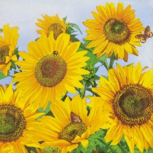 Serviete 33 x 33 cm SONČNICE, 20 kosov